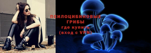 стаф Покачи