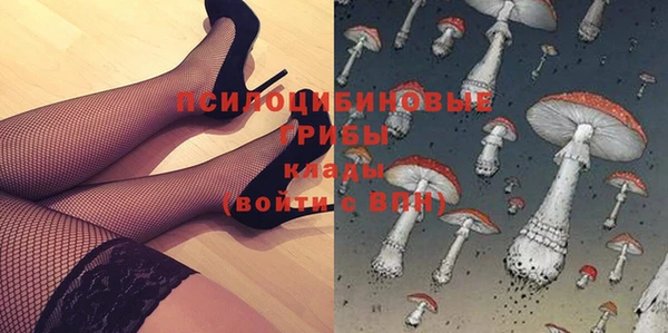 бошки Покровск