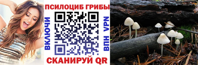 купить наркотик  Обоянь  Псилоцибиновые грибы мухоморы 