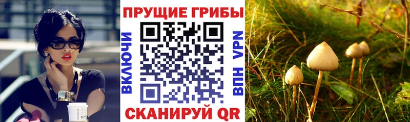 Псилоцибиновые грибы Magic Shrooms Обоянь